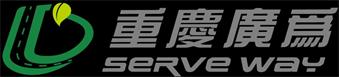 彩色瀝青路面施工